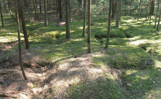 17_Jaskoniškių pažintinis takas - Vyčio kryžius. Autorė N. Ribokaitė.jpg